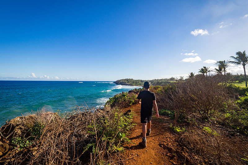 ハイキング／散策