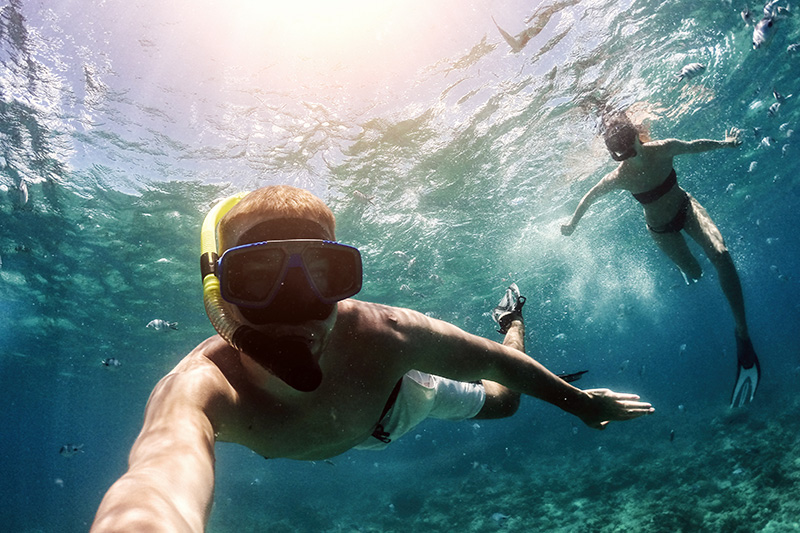 オーシャン・アクティビティ