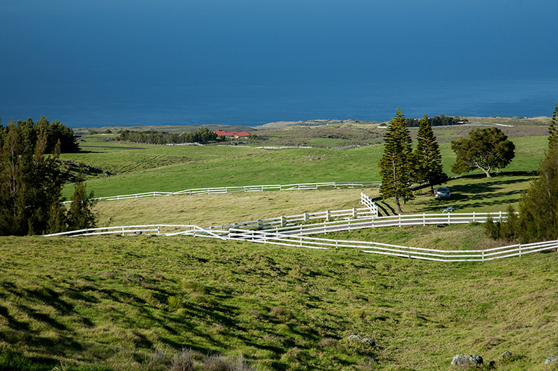 カウボーイ カルチャー