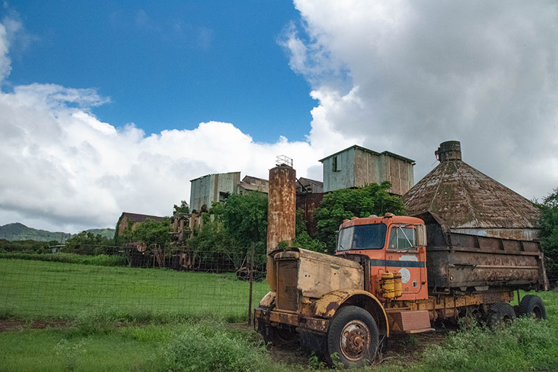 プランテーション時代を振り返る